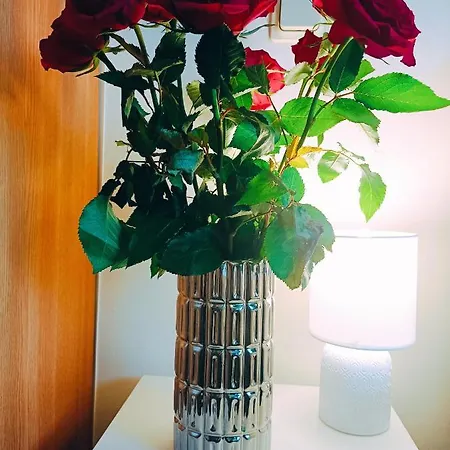 Homey Nest In Midtown Center, Up To 4 Guests, Steps From The Park, Free Parking Апартаменти