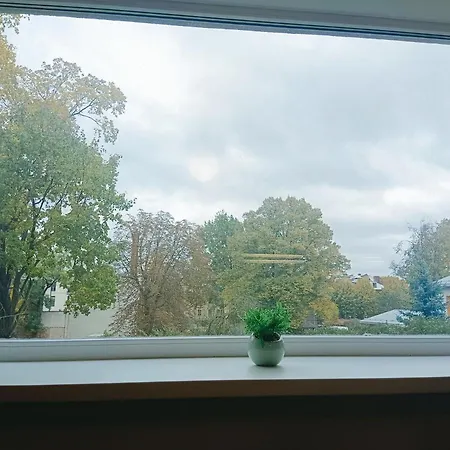 Апартаменти Homey Nest In Midtown Center, Up To 4 Guests, Steps From The Park, Free Parking *