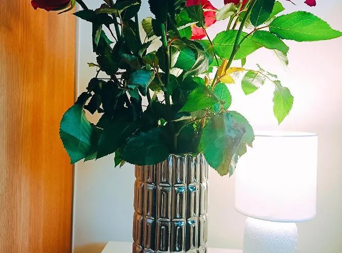 Homey Nest In Midtown Center, Up To 4 Guests, Steps From The Park, Free Parking Апартаменты